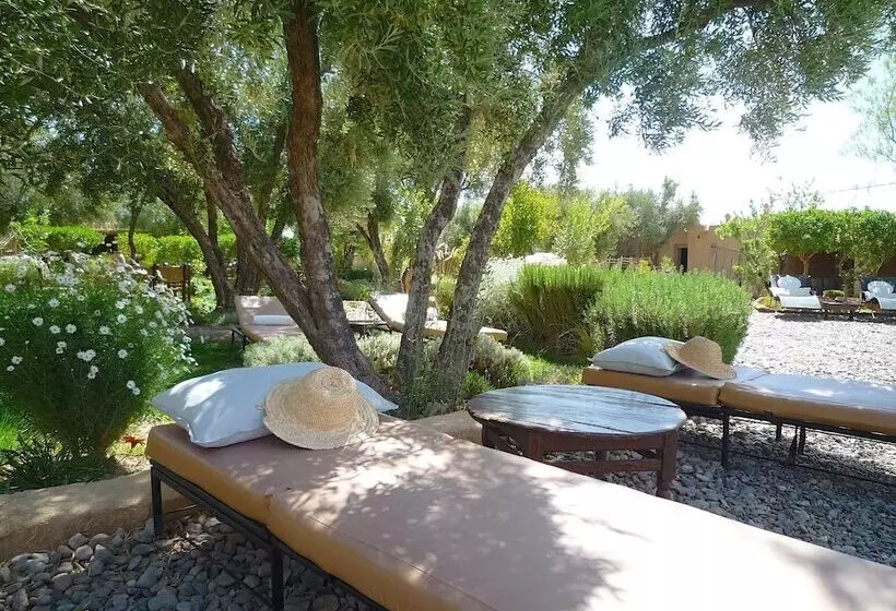 ベッドアンドブレックファースト Les Jardins De Skoura