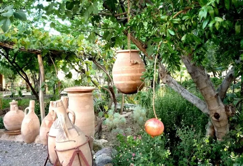 ベッドアンドブレックファースト Les Jardins De Skoura