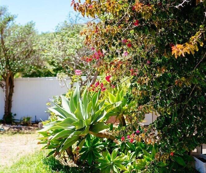 צימר Swept Away Guest House