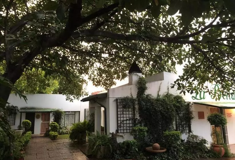 La Bella B&b Under The Fig Tree