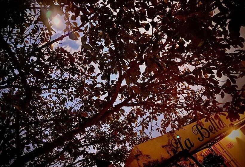 La Bella B&b Under The Fig Tree