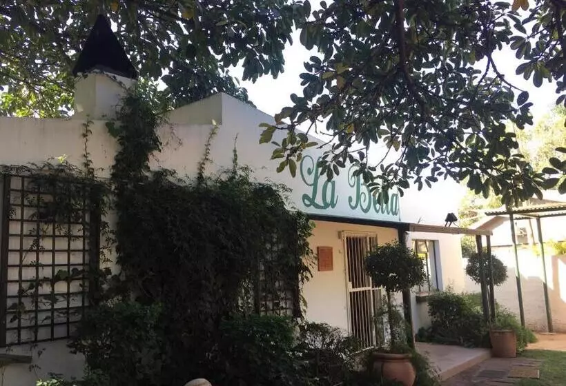 La Bella B&b Under The Fig Tree