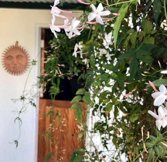 La Bella B&b Under The Fig Tree