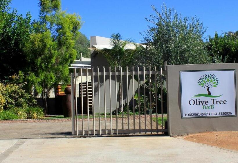 Olive Tree B&b