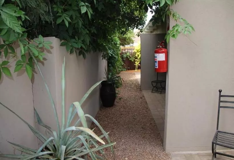 Olive Tree B&b
