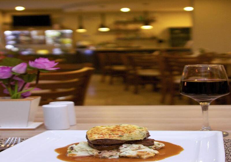 Hotel Bristol Zaniboni Mogi Mirim