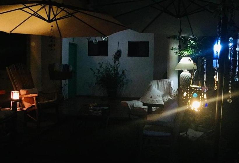 Baja Bed And Breakfast