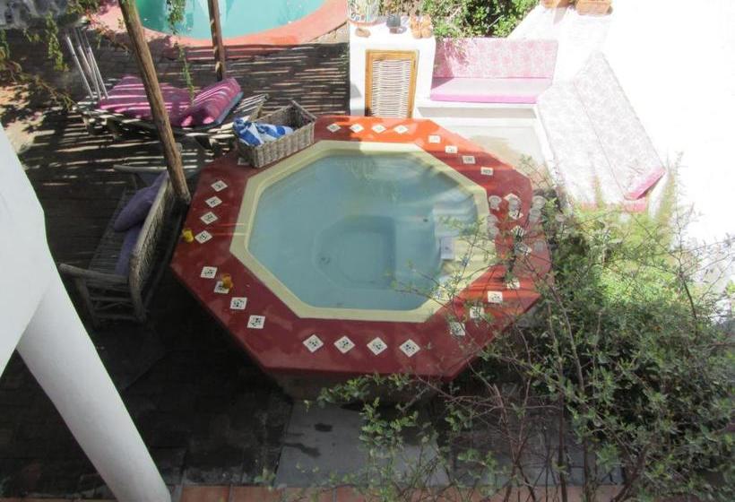 Baja Bed And Breakfast