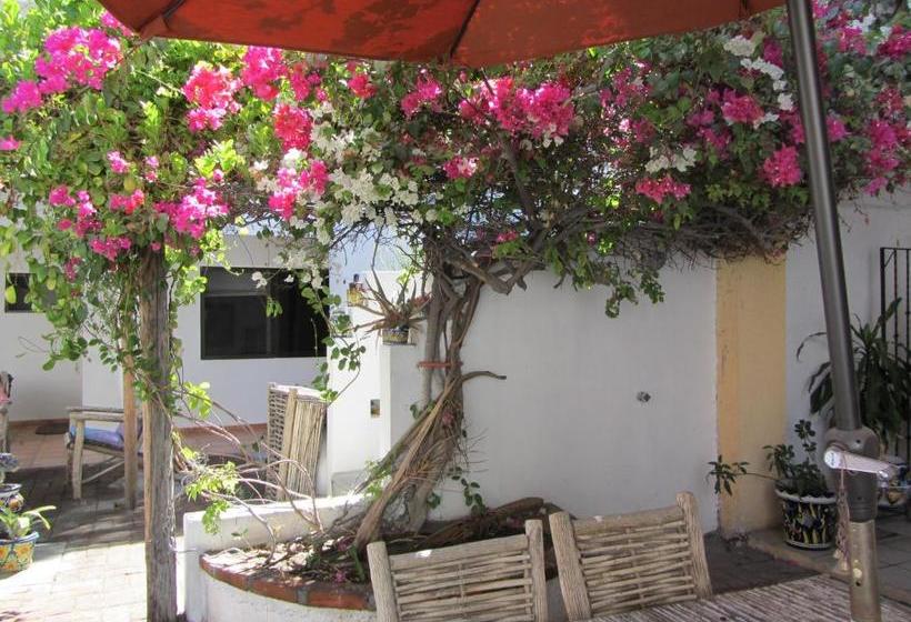 Baja Bed And Breakfast