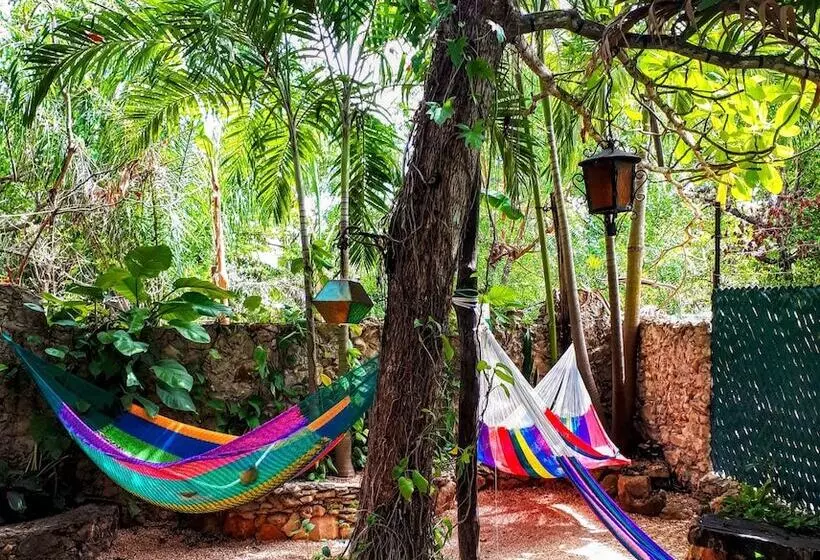Hostel Candelaria