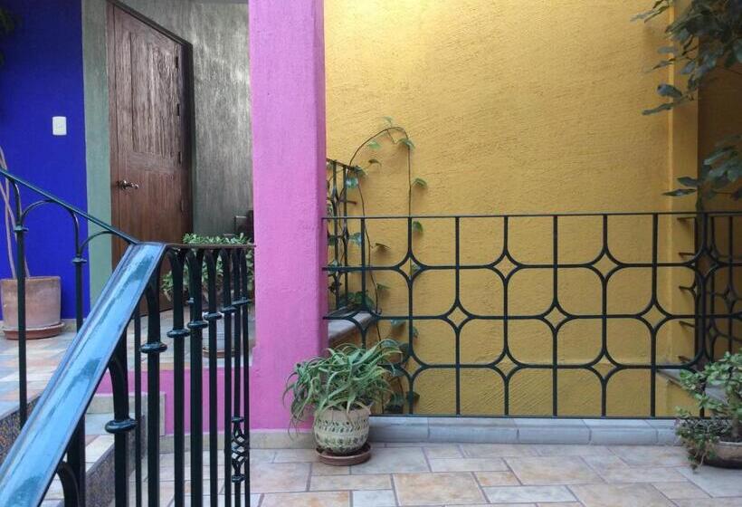 هتل Antiguo Vapor Categoría Especial