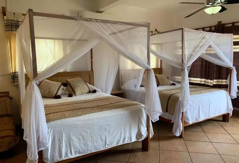 ホテル Cabañas Telayú