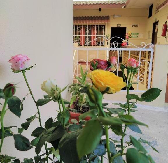 فندق D´ Carmona