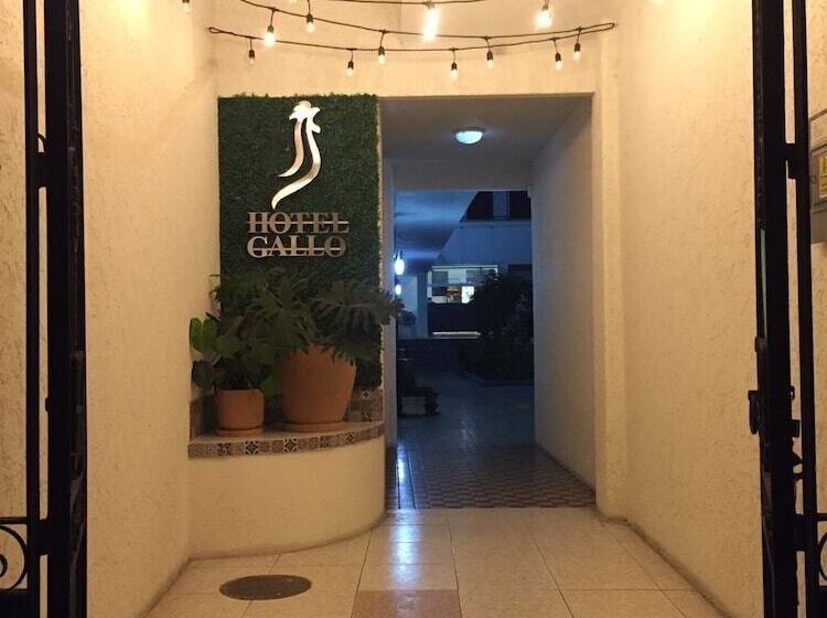 هتل Gallo