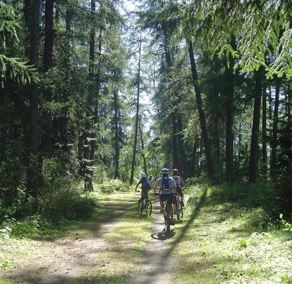 Отель Hôtel Saint Jean