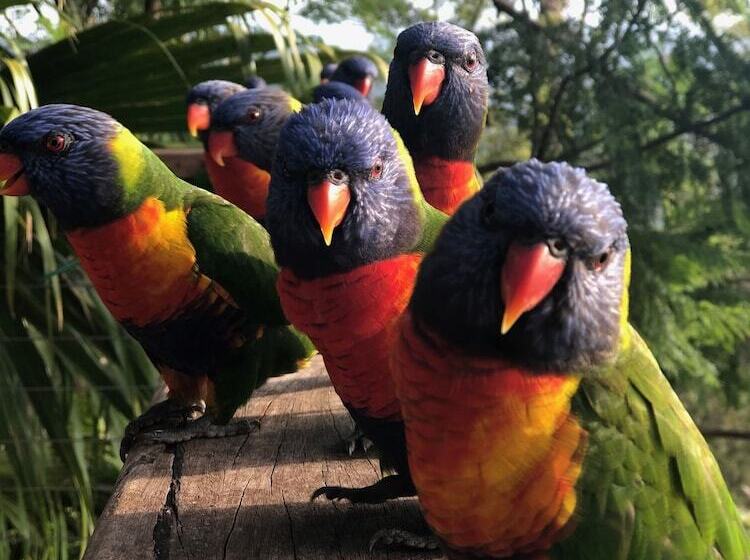 호텔 The Polish Place