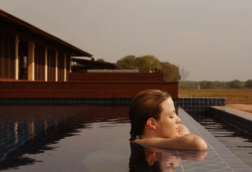 فندق Wildman Wilderness Lodge