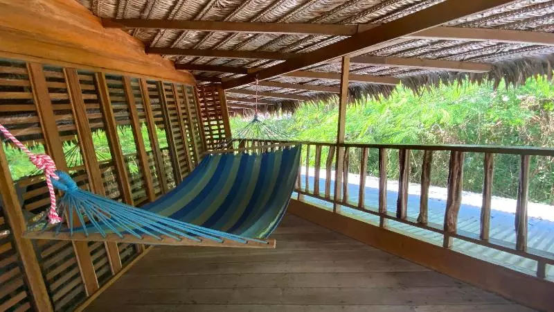 Hotelli On Vacation Amazon