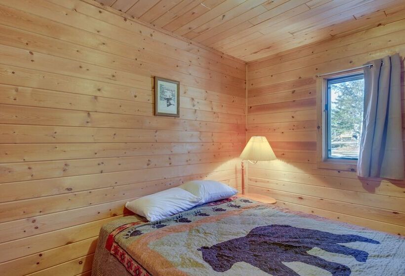 Dog Friendly Park Rapids Retreat W/ Boat Dock!