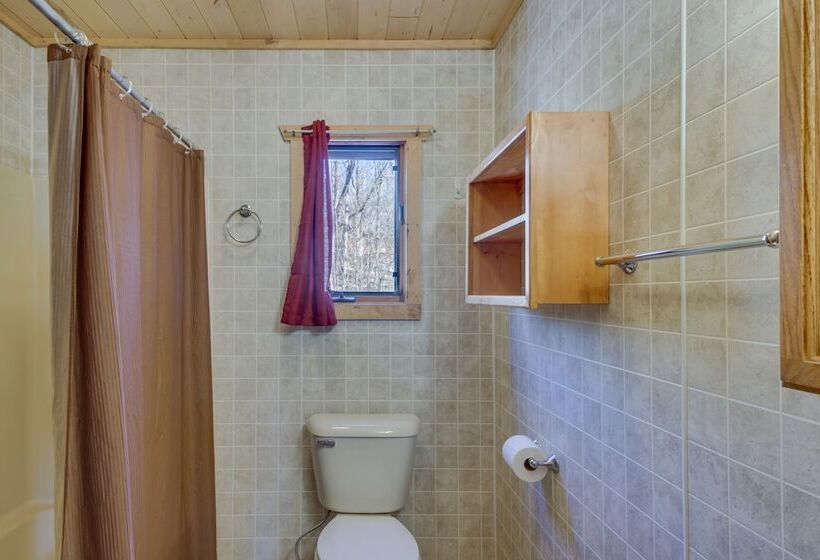 Dog Friendly Park Rapids Retreat W/ Boat Dock!