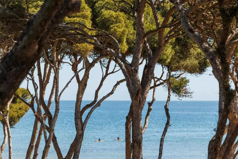 Le Domaine De La Mer Beach Hotel Nature&authenticité Hyères