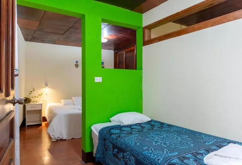 هاستل Hostal La Buena Onda