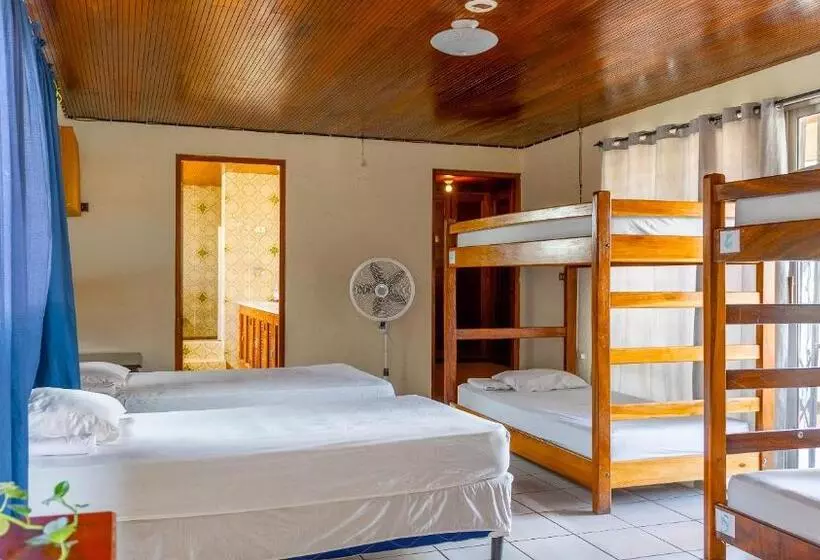 هاستل Hostal La Buena Onda
