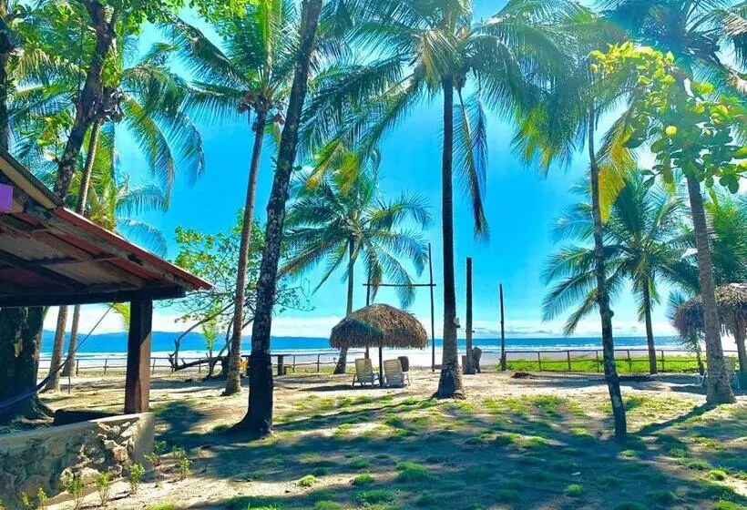 ホテル Oasis & Surf Camp
