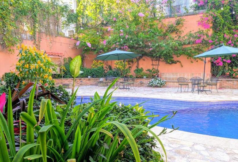 هتل Plaza Magdalena