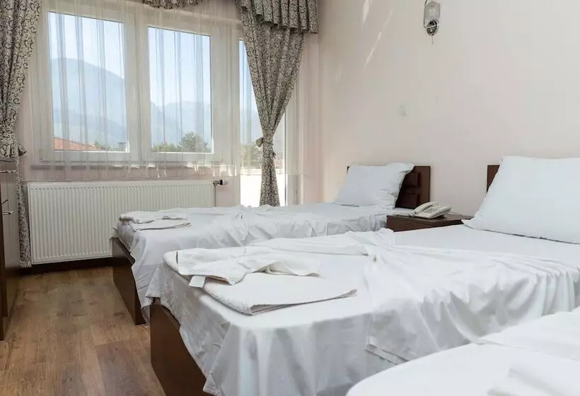 Hotel Leo