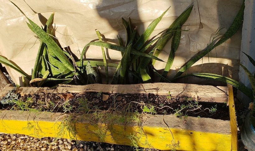 Las G Bacalar Camping Y Hostal Hostel