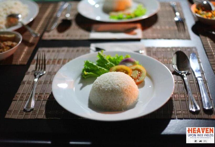 Bed and Breakfast Heaven Upon Rice Fields