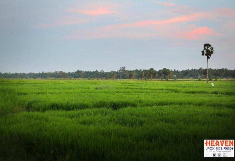 Bed and Breakfast Heaven Upon Rice Fields