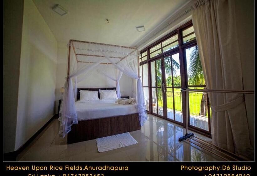 Bed and Breakfast Heaven Upon Rice Fields