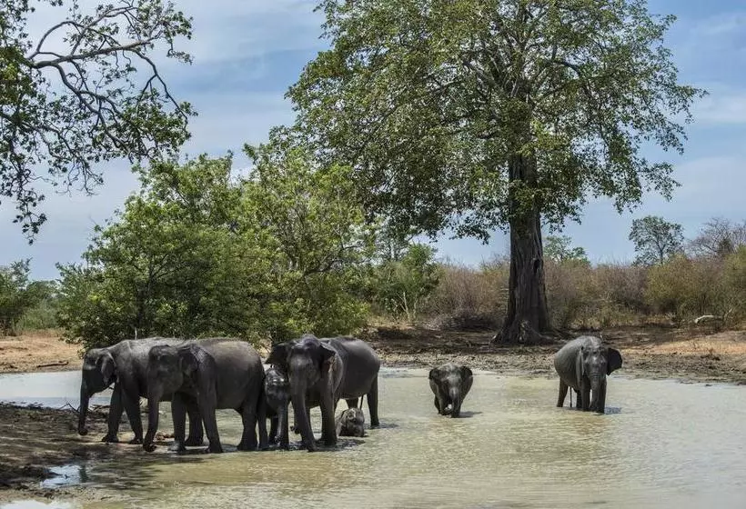 Happy Elephant Resort Udawalawe