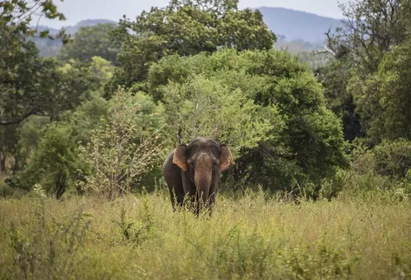 Happy Elephant Resort Udawalawe