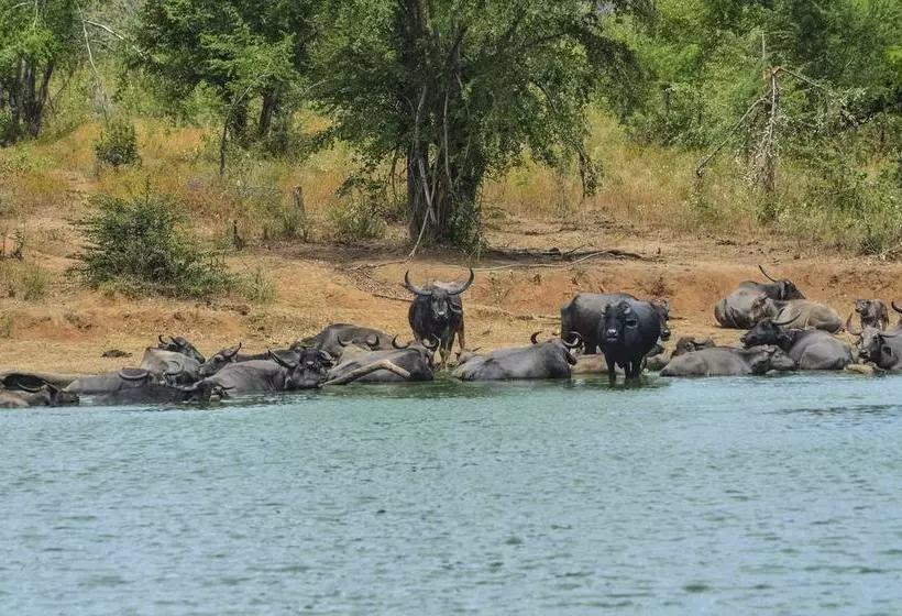 Happy Elephant Resort Udawalawe