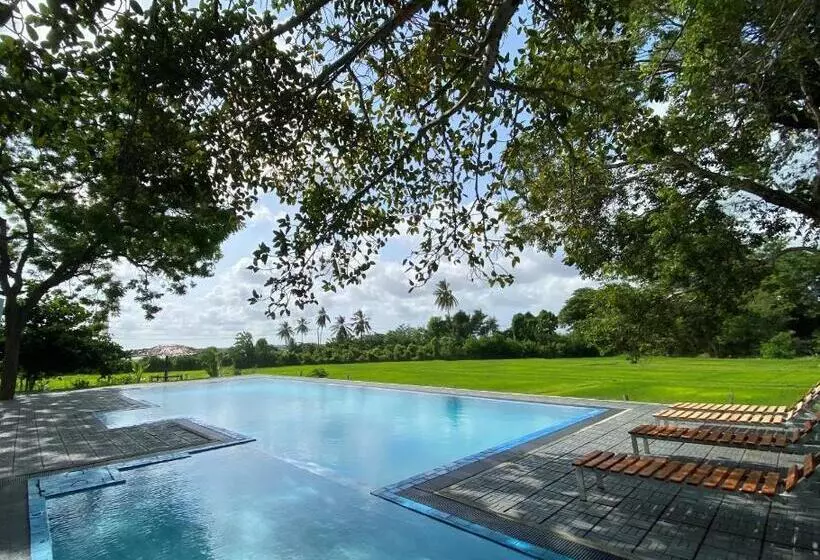 ホテル Birdsong Leisure Resort