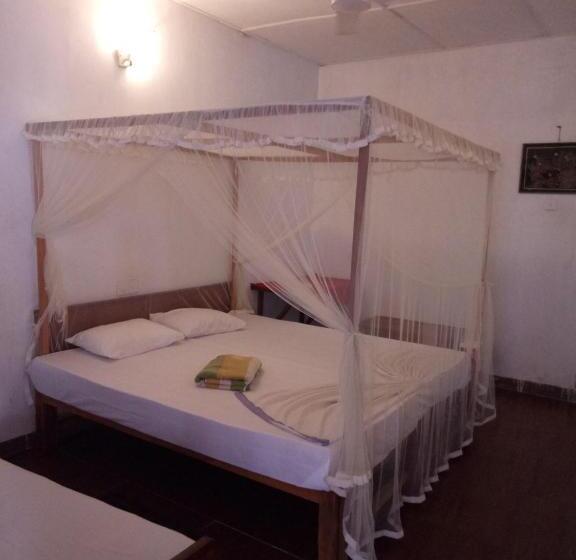 Отель Hansa Surf