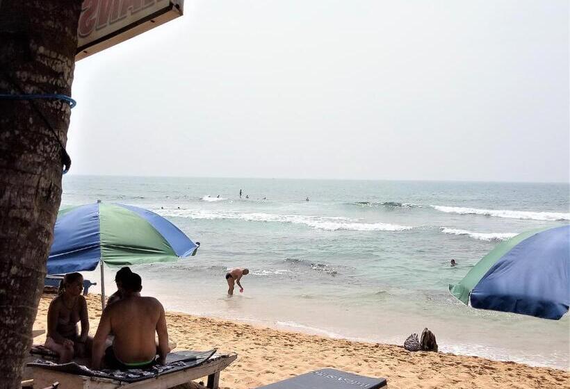 Отель Hansa Surf