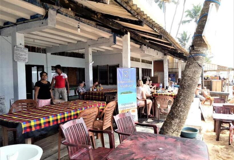 Отель Hansa Surf