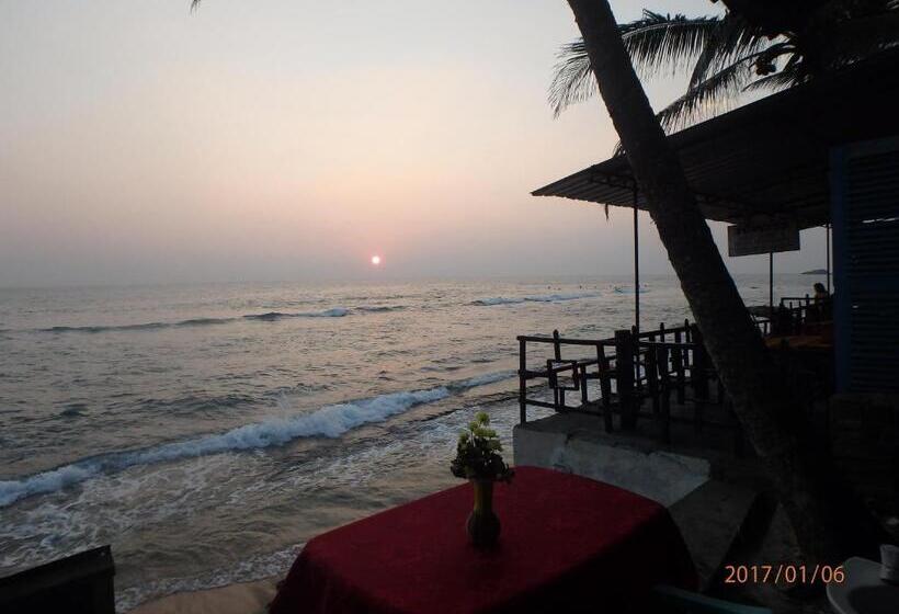 Отель Hansa Surf