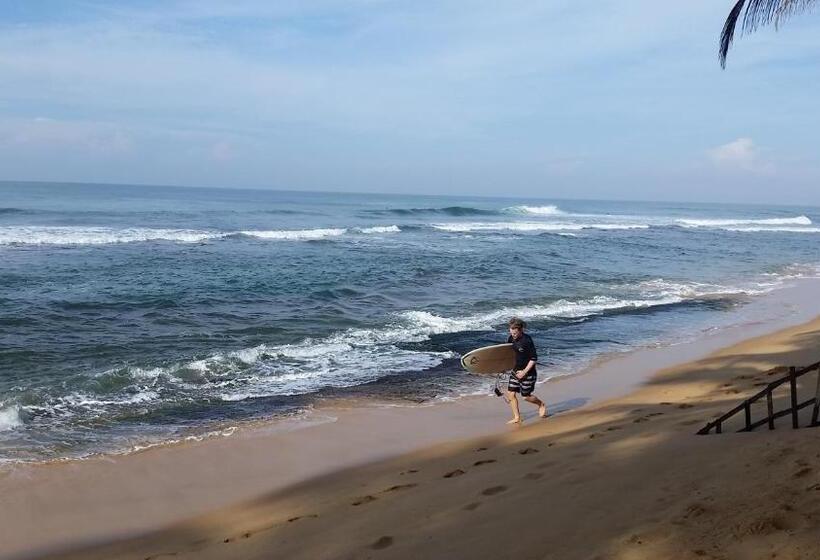 Отель Hansa Surf