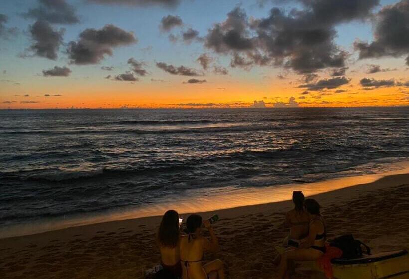 Отель Hansa Surf