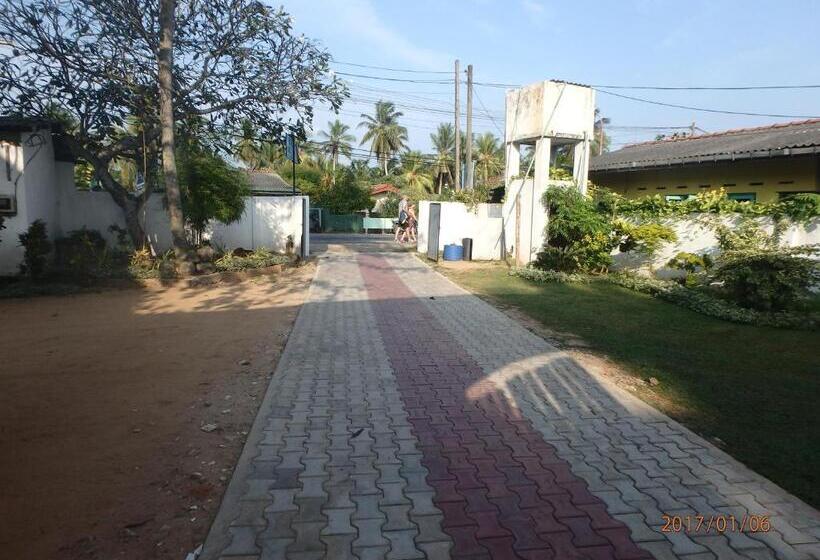 Отель Hansa Surf