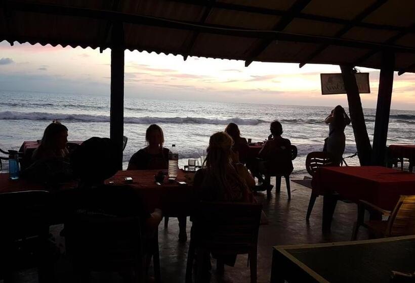 Отель Hansa Surf