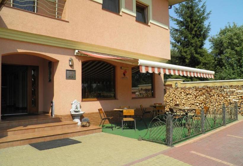 בית מלון כפרי Magnat