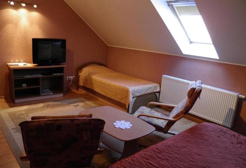 בית מלון כפרי Magnat