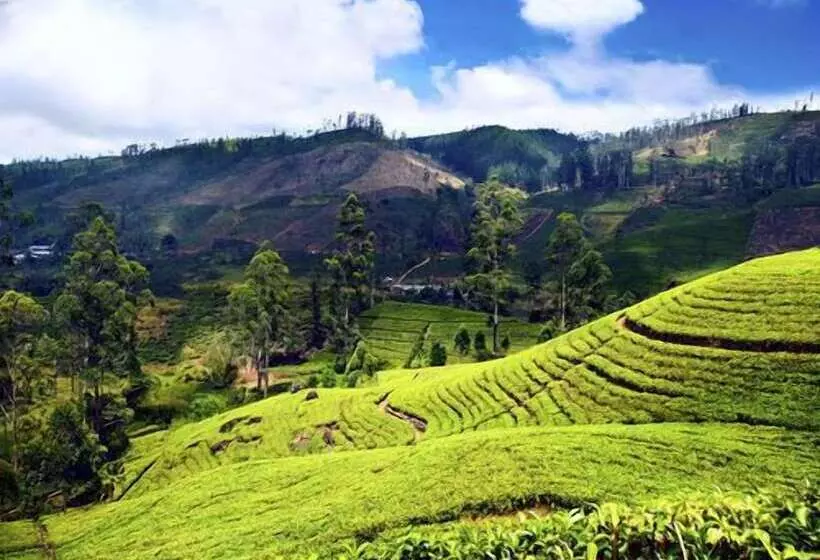 Hotelli Sapu S Mountain Breeze Nuwara Eliya