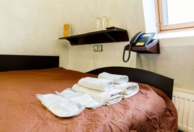 Hotel Tsaritsynskiy